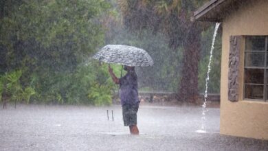 Photo of Clima en EE.UU., hoy domingo 1 de septiembre: extraño fenómeno avanza sobre Texas