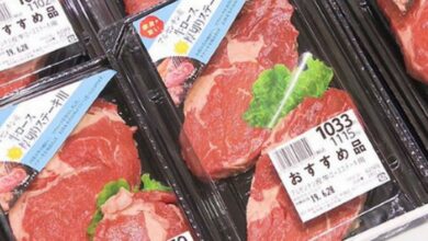 Photo of Mercado estrella: Japón comenzó una evaluación clave para el mayor objetivo de la Argentina con la carne vacuna