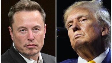 Photo of Elon Musk eliminó un tuit polémico que había publicado después del intento de ataque a Trump