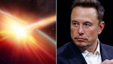 Photo of La apocalíptica reflexión de Elon Musk sobre el fin del mundo y la única oportunidad para la Tierra: “Un día de estos…”