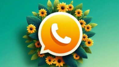 Photo of Cómo activar el “modo flores amarillas” en WhatsApp