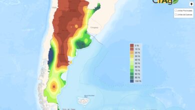 Photo of “Pronóstico muy reservado”: falló la última tormenta y la mayor región agrícola entró en una incierta cuenta regresiva