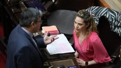 Photo of Lourdes Arrieta defendió el aumento a los jubilados y anticipó su rechazo al veto de Javier Milei