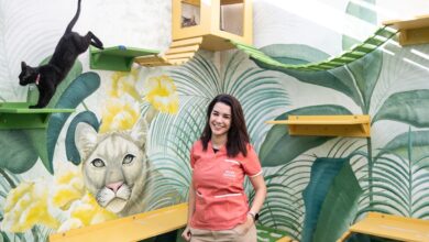 Photo of Historias: comenzó cuidando gatos en un dos ambientes y ahora tiene una cadena de hoteles para las mascotas.