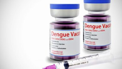 Photo of Crecen las consultas: la recomendación de los especialistas sobre si conviene vacunarse contra el dengue y cuándo hacerlo