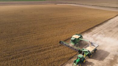 Photo of Impacto: subió a 61,5% lo que el Estado se lleva en impuestos de la renta de una hectárea agrícola