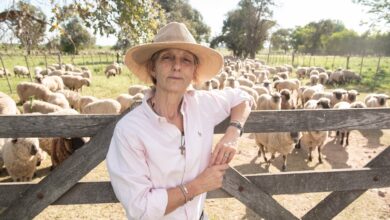 Photo of Brecha: en la Argentina solo el 20% de las mujeres son propietarias de la tierra