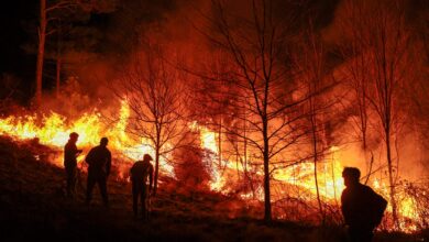 Photo of Incendios en Córdoba: este mes se quemaron unas 40.000 hectáreas, con el norte del Valle de Punilla muy dañado