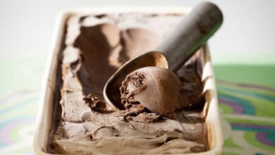 Photo of Estos son los 10 gustos de helado que más prefieren los argentinos