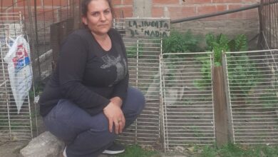 Photo of Solo el 5% de los hogares pobres urbanos del país tienen huerta o crían animales: “Son porcentajes muy bajos”