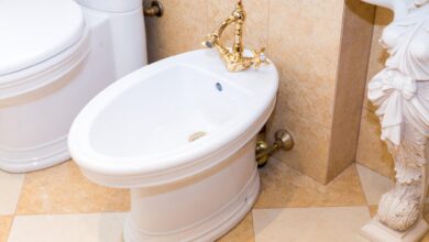 Photo of Cuál es el truco para sacar el sarro y restaurar el brillo del bidet en tiempo récord