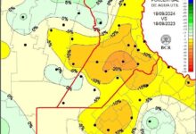 Photo of “Decepción”: la última tormenta “pasó de largo” y crece la preocupación por una creciente sequía en la principal región agrícola