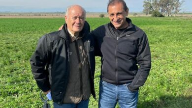 Photo of “Le gusta manejar el tractor”: por primera vez, el DT Ramón Díaz ofrecerá un remate de toros y vacas en su campo