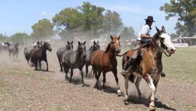 Photo of Fin de semana largo: a quiénes les corresponde el feriado del lunes 16 de septiembre