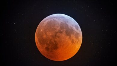 Photo of Hora y cómo ver el eclipse lunar en vivo desde EE.UU. hoy martes 17 de septiembre