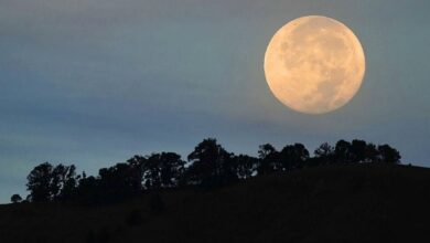 Photo of Dónde y cómo ver la Luna del Cazador en octubre 2024