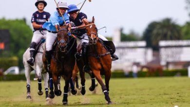 Photo of Abierto de Tortugas de polo: Ellerstina, desconcertante, perdió ante el incómodo Cría La Dolfina, en la primera sorpresa de la temporada