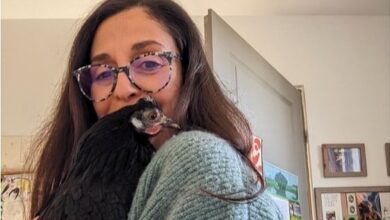 Photo of Un vínculo eterno. La mascota que nació con una pata herida e inspiró a su dueña a escribir un libro: “Pronto será famosa”