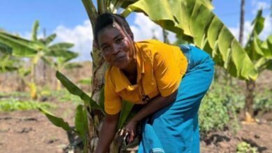 Photo of “La gente siente curiosidad y, cuando lo prueba, se sorprende de lo bueno que es”: las agricultoras que hacen vino con bananas para salvar sus cultivos