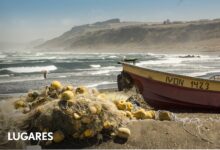 Photo of Playas chilenas: Pueblitos con encanto, ceviche y el mejor surf al borde del Pacífico salvaje