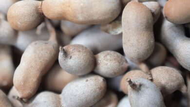 Photo of La fruta que pasa desapercibida en Argentina, pero que es clave para el bienestar del cuerpo