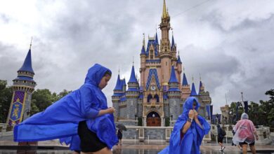 Photo of Clima de hoy, 11 de octubre en EE.UU.: el pronóstico del viernes y las alertas para el fin de semana