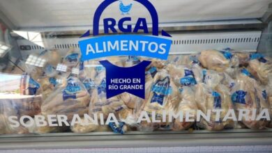 Photo of RGA Alimentos: encontrá pollos frescos en toda la provincia