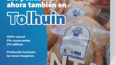 Photo of RGA Alimentos provincializa su producción: los pollos frescos llegaron a Tolhuin