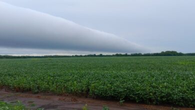 Photo of Se reducen las posibilidades de desarrollo de un evento La Niña