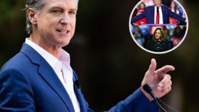 Photo of Trump gana y Gavin Newsom sufre por partida doble: una encuesta muestra cómo cayó su imagen en California