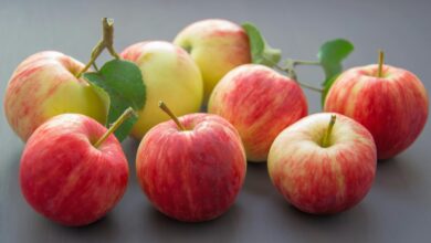 Photo of Qué le pasa al cuerpo si como una manzana todos los días