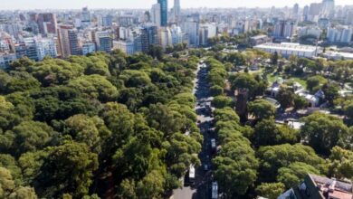 Photo of Más verde, mejor vida