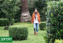 Photo of Cómo renovar una clásica casona sanisidrense para darle nueva vida y un guiño actual