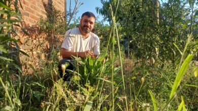 Photo of “La reserva natural más pequeña del mundo”: el inusual menú que diseñó un chef con ingredientes que recolecta de su vereda