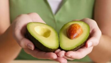 Photo of De moda a boom: quiénes son los nuevos jugadores que impulsan la revolución de la palta como cultivo