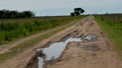 Photo of “Vengan el año que viene”: el categórico mensaje de un municipio a los productores que reclaman por una tasa