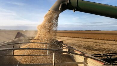 Photo of Estabilidad cambiaria: creció 87% el financiamiento bancario en dólares al agro