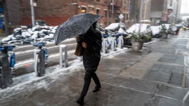 Photo of Clima en Estados Unidos hoy: intensas nevadas en gran parte del país este domingo 1 de diciembre