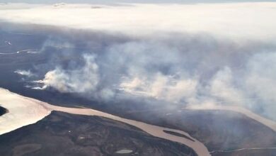 Photo of Evidencia científica. Qué enfermedades se multiplicaron en Rosario por las quemas en el Delta del Paraná