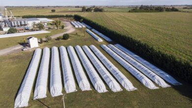 Photo of Temblor en el agro: el default de reconocidas empresas abrió una caja de Pandora y temen que haya más incumplimientos de compromisos