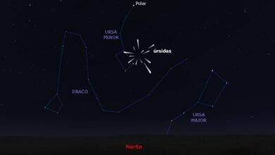 Photo of Lluvia de estrellas Úrsidas: cómo ver el último fenómeno astronómico que llega antes de que termine 2024