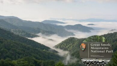 Photo of Este increíble Parque Nacional de Carolina del Norte se ubicó entre los mejores de EE.UU.