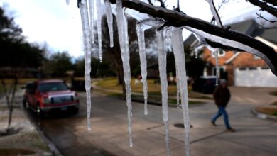 Photo of Nieve en Texas: cuántos centímetros caerán y las ciudades más afectadas ante la ola de frío en EE.UU.