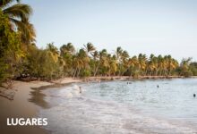 Photo of La isla del ron, los pueblos de pescadores, mar turquesa y arenas blancas