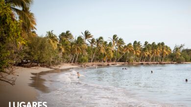 Photo of La isla del ron, los pueblos de pescadores, mar turquesa y arenas blancas