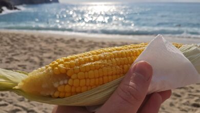 Photo of Por qué los nutricionistas recomiendan este snack saludable en la playa