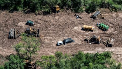 Photo of Medio ambiente: el alarmante dato que arrojó una encuesta sobre una tendencia en los jóvenes