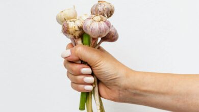 Photo of Truco infalible: cómo utilizar el ajo para que tus plantas crezcan sanas y fuertes