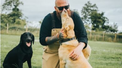 Photo of Cuáles son las tres mejores razas de perros, según un reconocido entrenador profesional