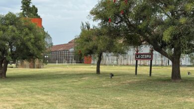 Photo of Para bajar costos a la producción, un municipio de Córdoba eliminará las tasas a las guías ganaderas